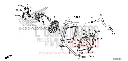 RADIATEUR (D.) GL1800BDL de 2020